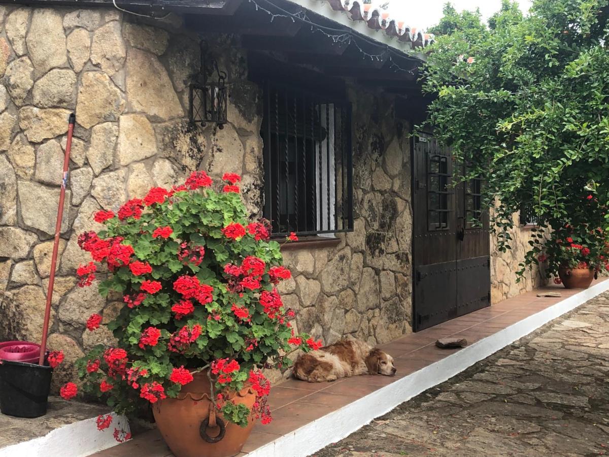 Finca Vergel ガータ エクステリア 写真