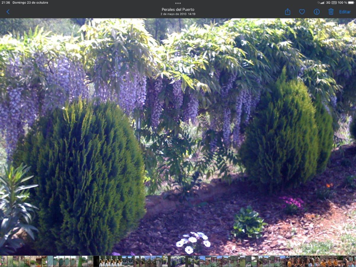 Finca Vergel ガータ エクステリア 写真