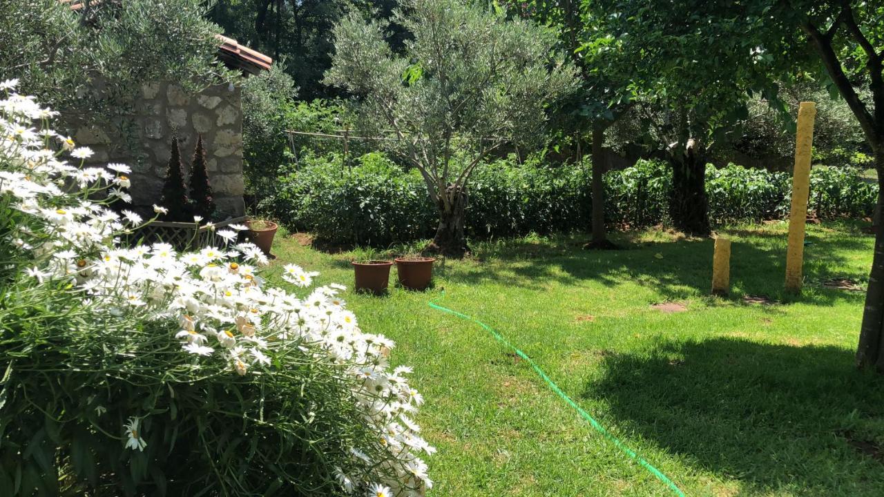 Finca Vergel ガータ エクステリア 写真