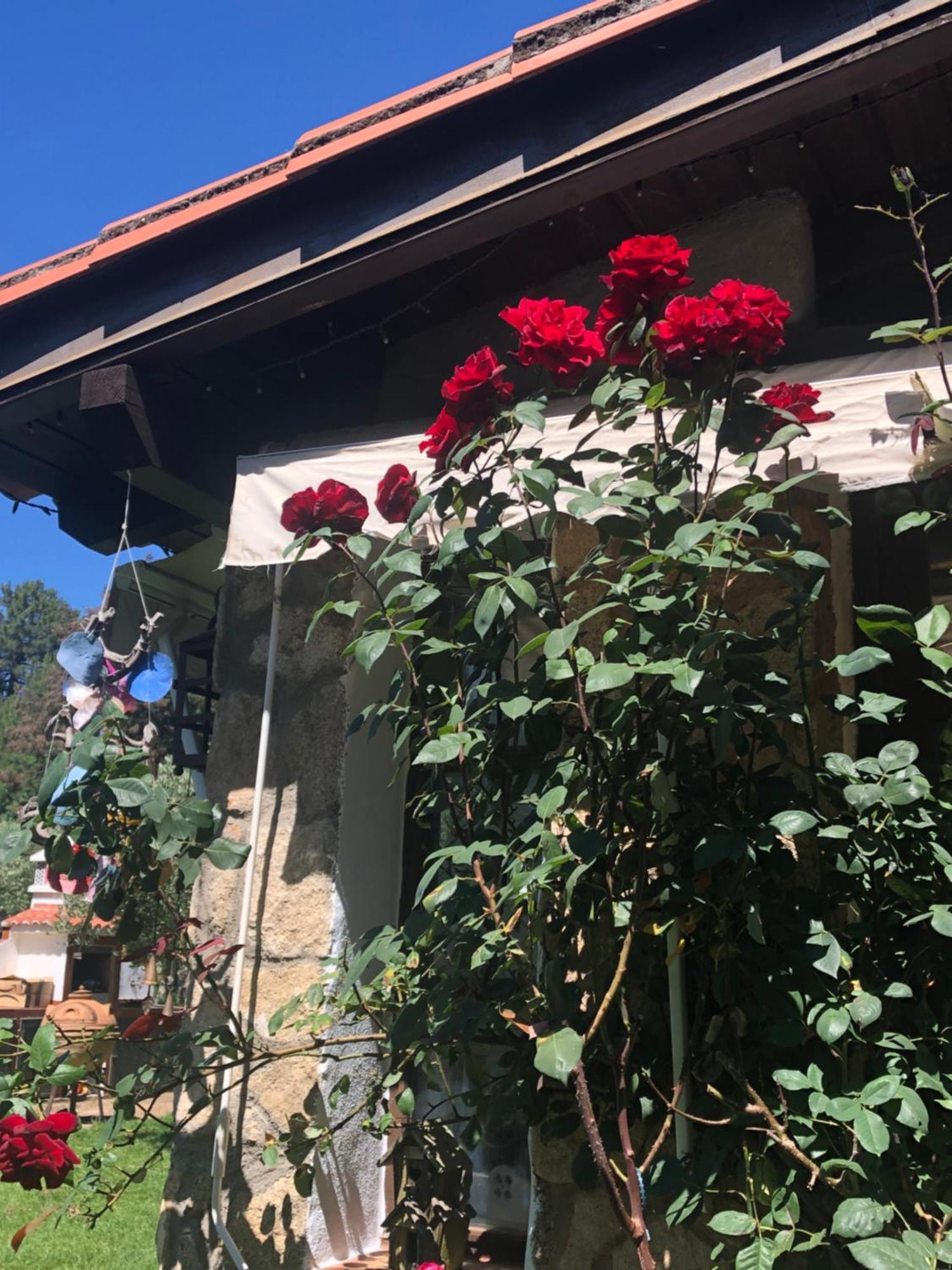 Finca Vergel ガータ エクステリア 写真